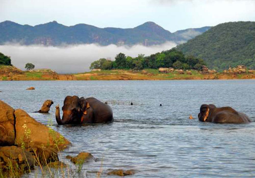 Gal Oya National Park