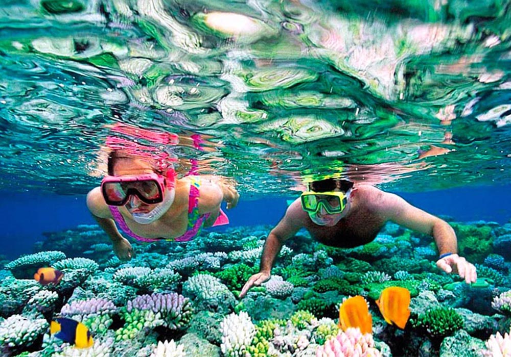 Snorkelers