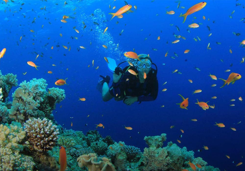 scuba diving