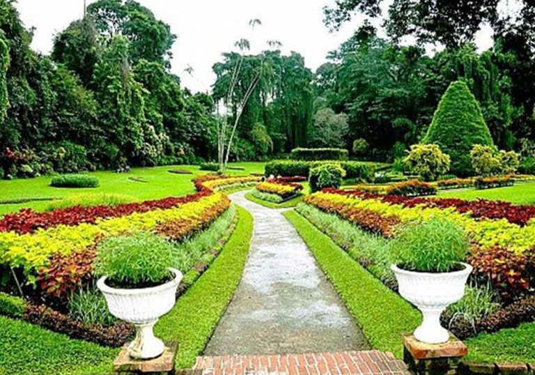 botanical gardens